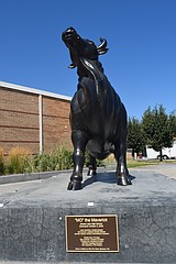 MLHS recognized as a "School on the Rise"