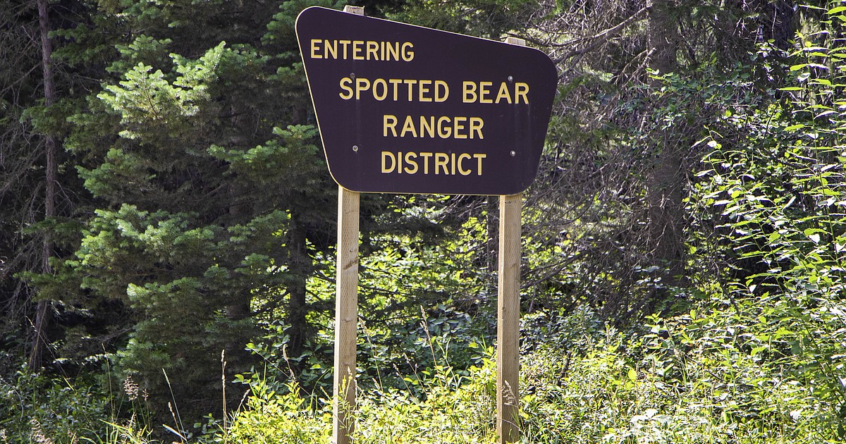 Forest greenlights timber sale on east side of Hungry Horse Reservoir