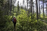 Daines gains federal support to strip wilderness potential from Montana sites