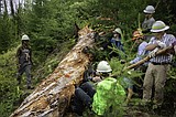 Clearing the way: Volunteers keep The Bob wild and accessible