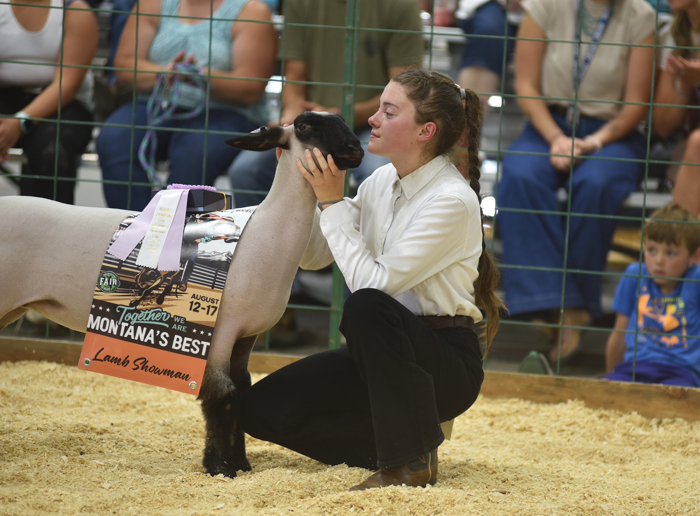 0813_fair_sheep_6.JPG.2430x1791_q85_box-