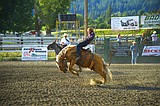 The ups and downs of the rodeo