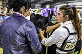 Moo-ving on up: Handlers put best hoof forward in beef cattle judging at Northwest Montana Fair