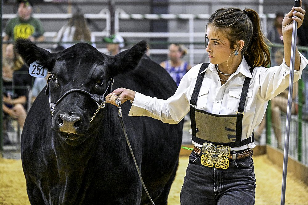 0814_Fair_Cattle_Showcase_2.jpg.1000x666