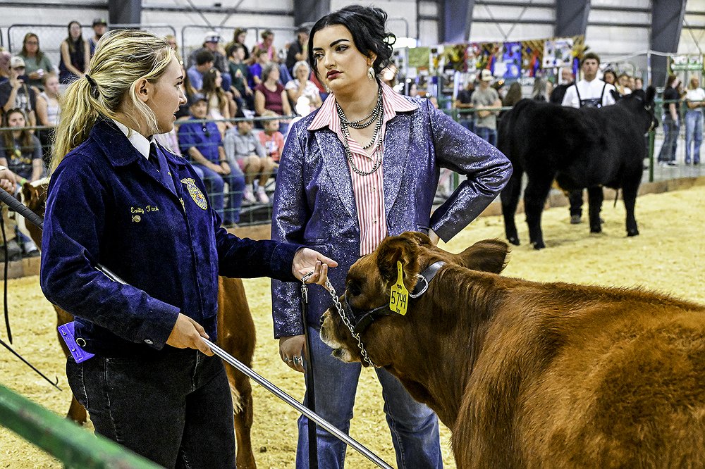 0814_Fair_Cattle_Showcase_3.jpg.1000x666