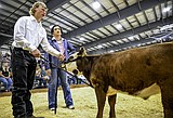 PHOTOS: 2025 Northwest Montana Fair and Rodeo