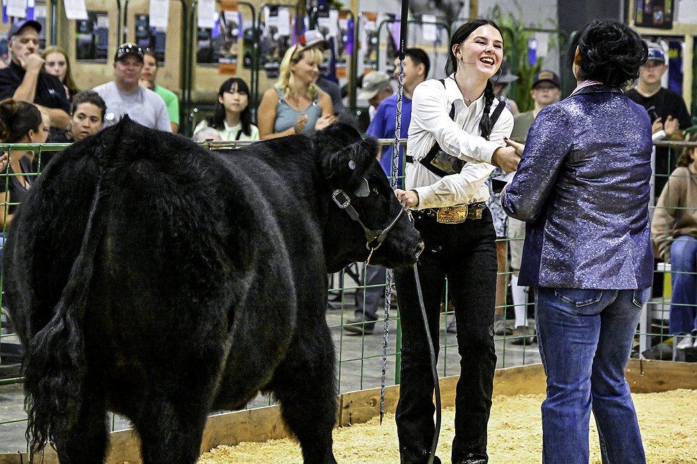 0814_Fair_Cattle_Showcase_6.jpg.1000x666