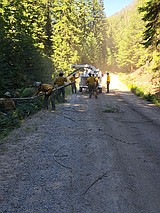 Wildfire forces evacuations, destroys 3 structures