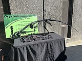 Mobile dinosaur exhibit draws crowd to Boundary County Library