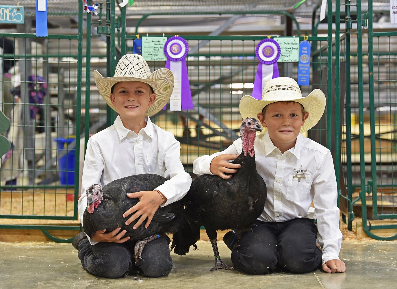 081425_fair_misc..jpg.1374x1000_q85_box-