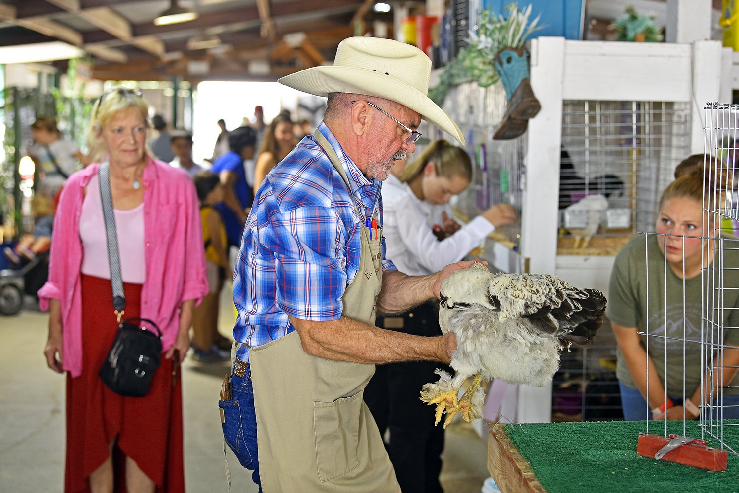 081425_fair_poultry_2.jpg.1498x1000_q85_