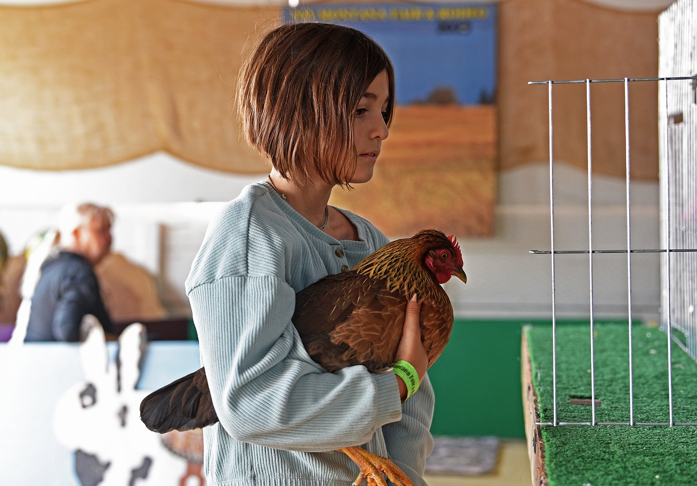 081425_fair_poultry_3.jpg.1436x1000_q85_