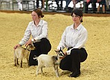 No kidding around: Youth leap into competition at Northwest Montana Fair and Rodeo