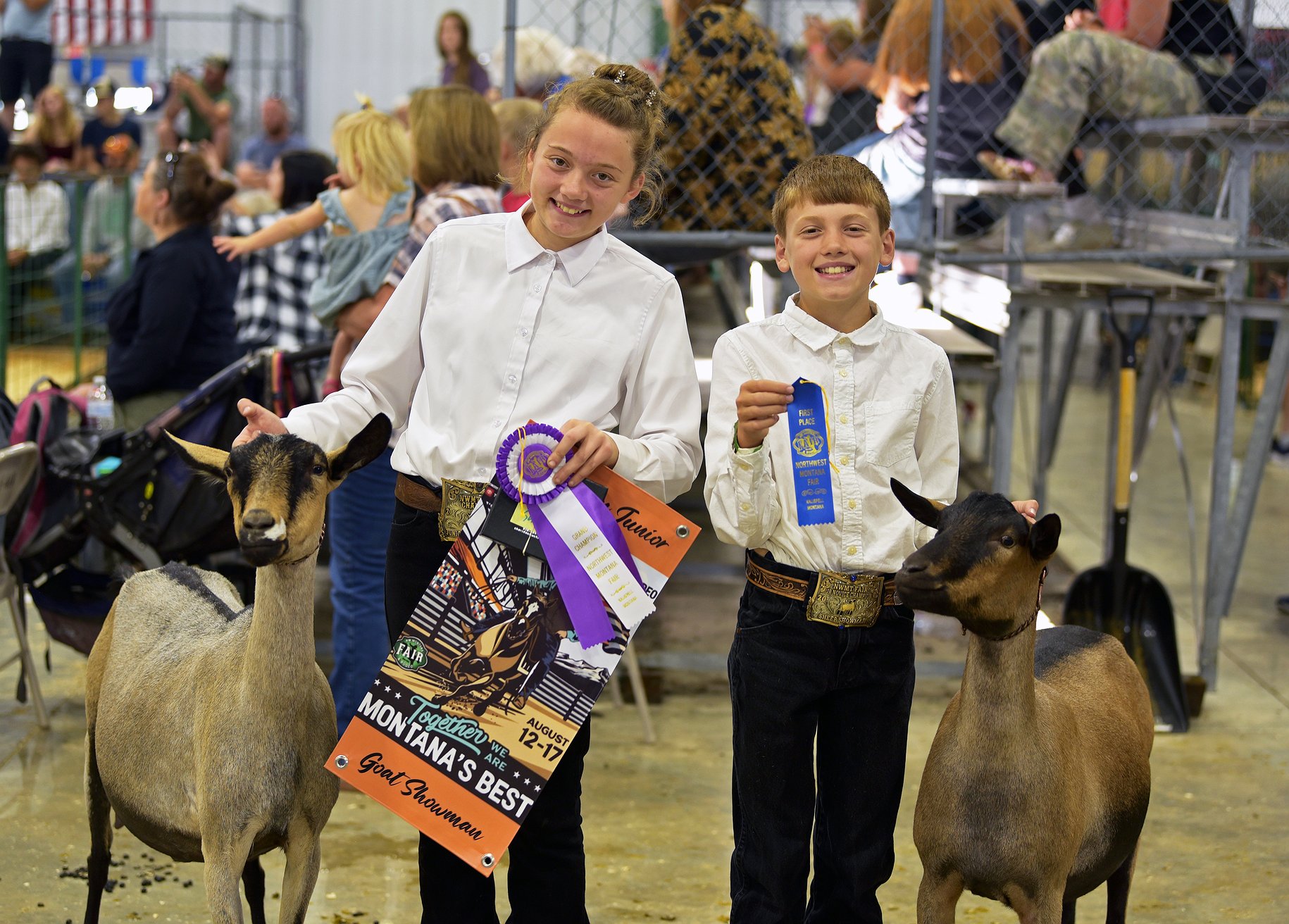 081425_goat_show_2.jpg.1830x1312_q85_box
