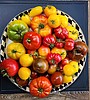 The juicy, weird and wonderful secrets of the tomato