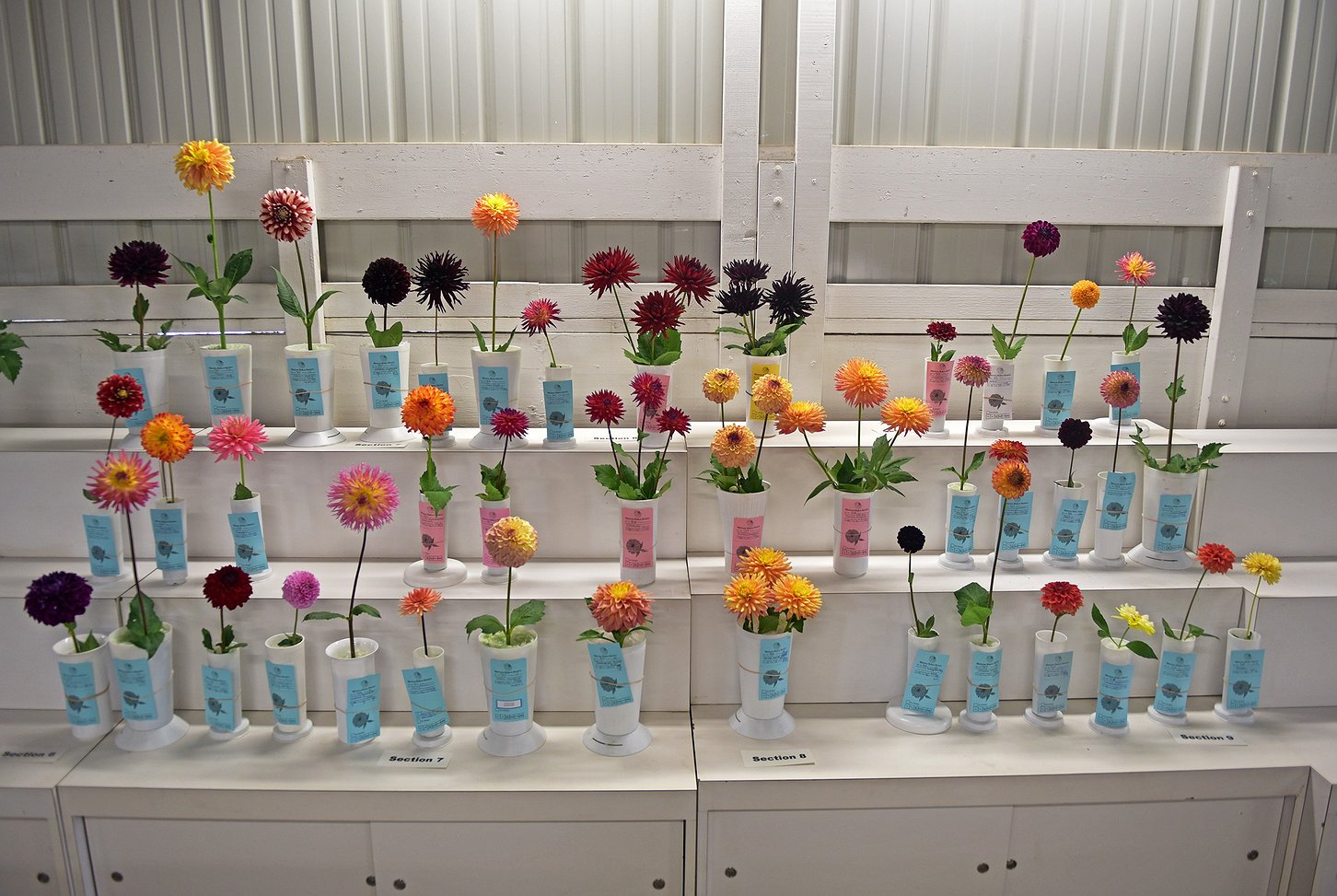 0817_fair_flowers_2.jpg.1452x973_q85_box