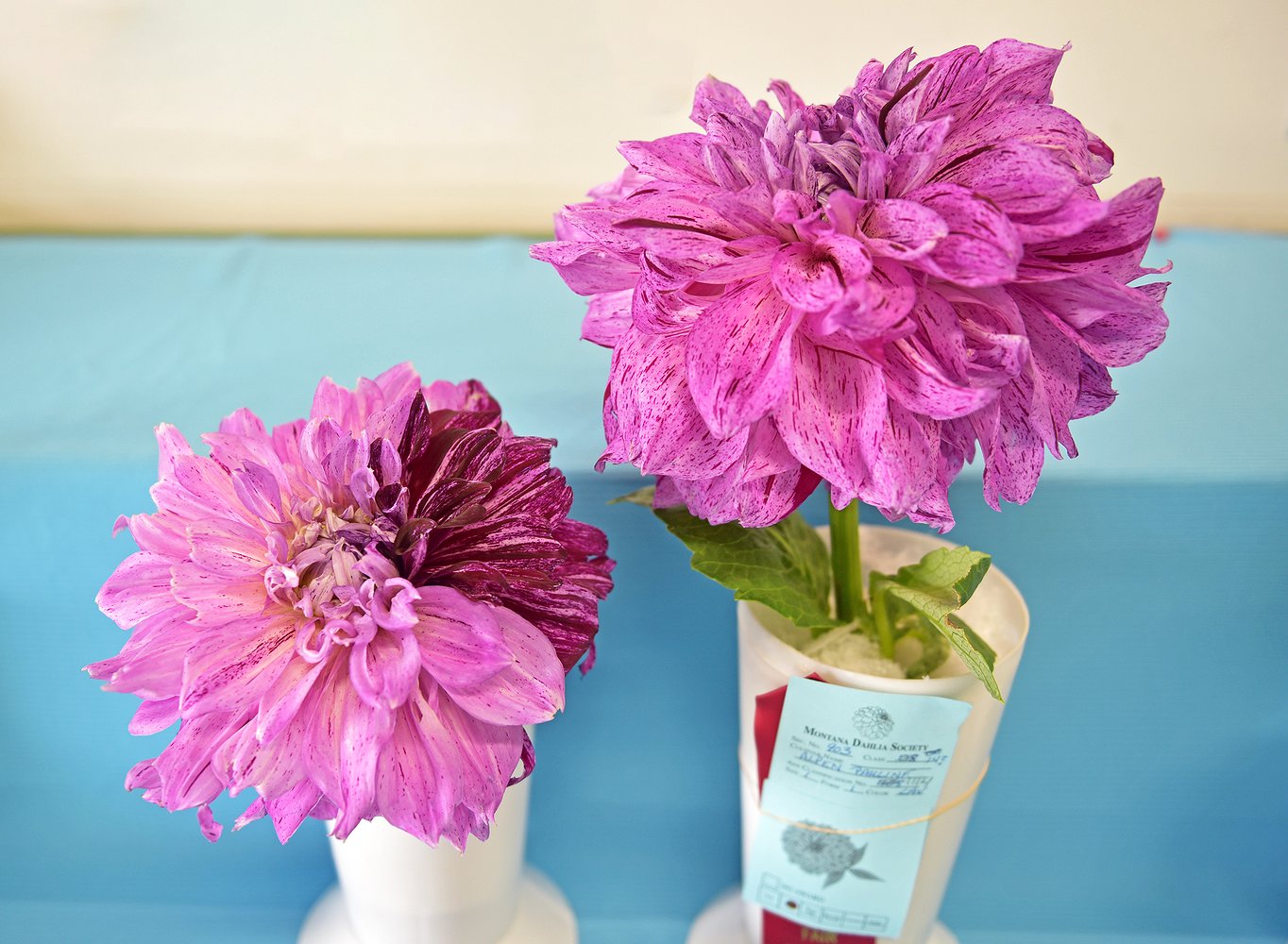 0817_fair_flowers_4.jpg.1364x1000_q85_bo