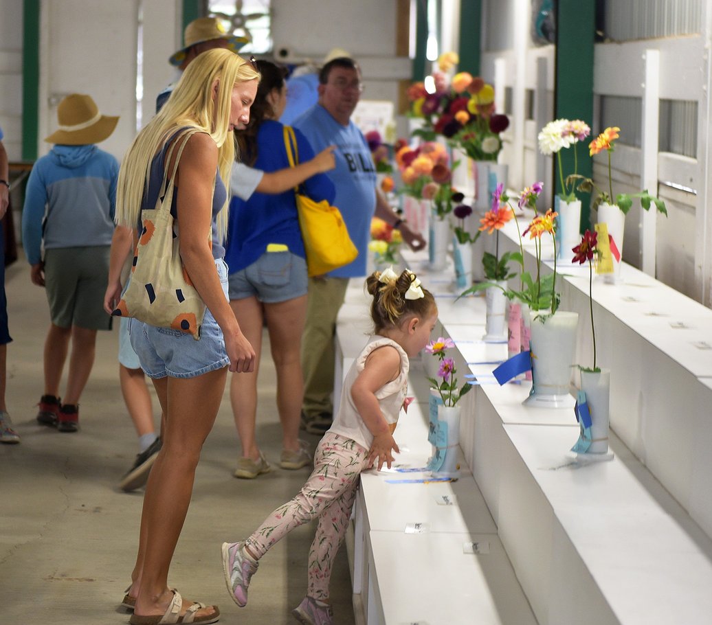 0817_fair_flowers_6.jpg.1036x910_q85_box