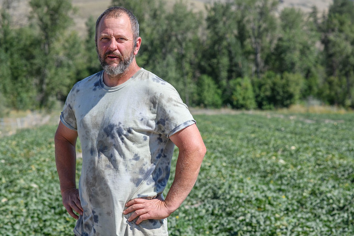 Faus Silvernail is out in the fields everyday working and caring for the melon crop. Silvernail has been running Dixon Melons Inc. for the last 20 years and upped the farm's production by five times. (Emily Messer/Leader)