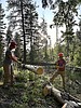 Friends of Scotchman Peaks plan trail work days
