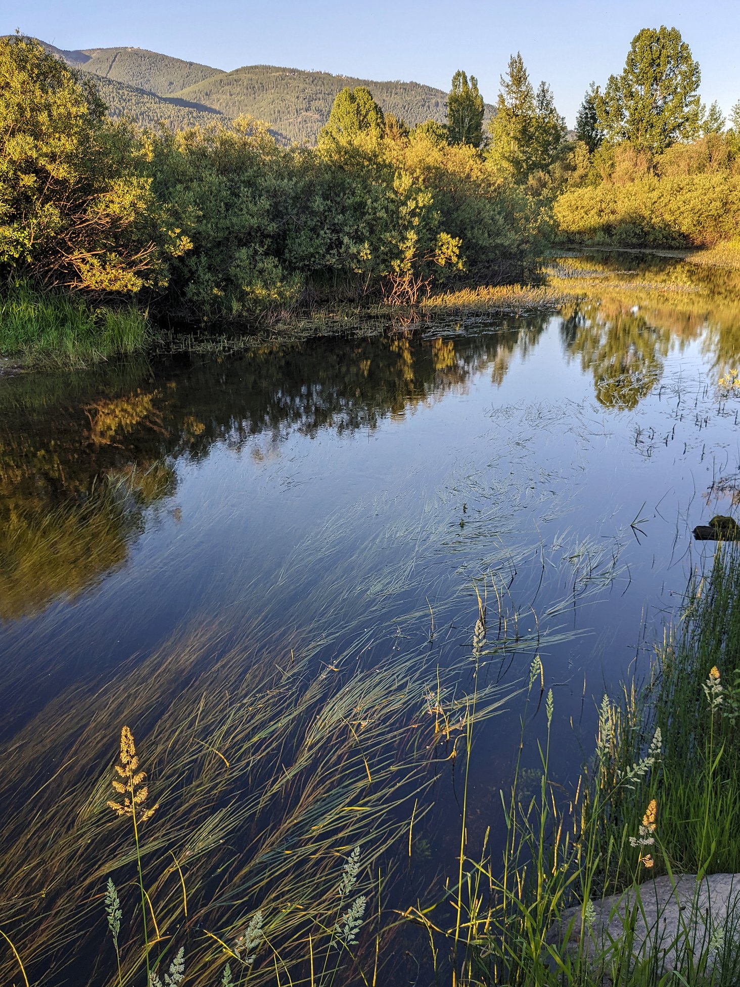 swift_creek_3.jpg.1464x1952_q85_box-0%2C