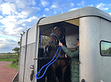 PET TALK Taking stock for disasters: Developing a large animal preparedness plan