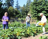 Green School offers gardener training online