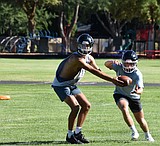 Tigers enter 4th year under Coach Mitchell