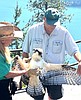 Bayview residents rescue osprey