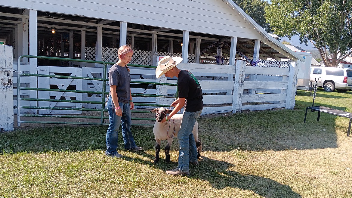 Tips from experienced 4-H participants to other members are eagerly shared as it’s a culture of caring and helping their neighbors in any way that they can. (Monte Turner/Mineral Independent)