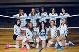 Volleyball, boys soccer combine for five All-League selections