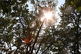 High pressure system brings record heat, increased wildfire activity to North Idaho