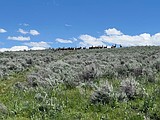 Idaho preparing to sell 160 acres of state-owned endowment land near the Tetons