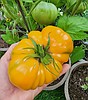 How to preserve your garden’s best plants year after year