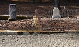 Volunteers band together to restore pioneer cemetery