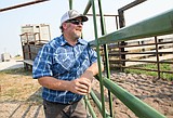 Cattle, Herding & Haulers: FFA stockyards renovated and open for business