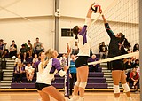 Vikings volleyball sweeps Two Eagle