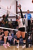 Trotters volleyball sweeps scrappy Tigers