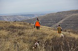 2025 upland game bird forecast