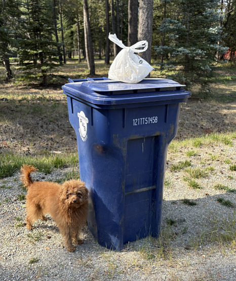 Occasionally, Amy Hebert leaves a little treat or gift on top of the trash can as a way of saying to her trash collector, “Thanks for your excellent service! We appreciate you! We see the work you are doing!”
