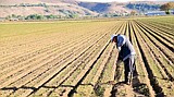 More than half of Northwest in severe, extreme drought, Oregon in historic dry period