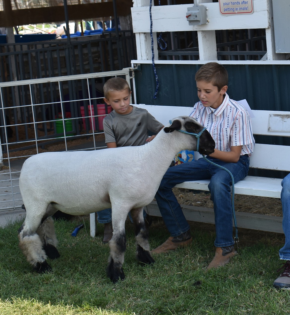 Porter Gilbert, 10, gets his goat under control as 6-year-old Lane Russell looks on at the Othello Fair Thursday.