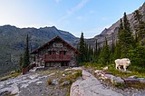 Shutdown leaves national parks vulnerable