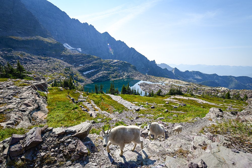 0914_LOC_DIL_Gunsight_Pass_and_Sperry_Gl