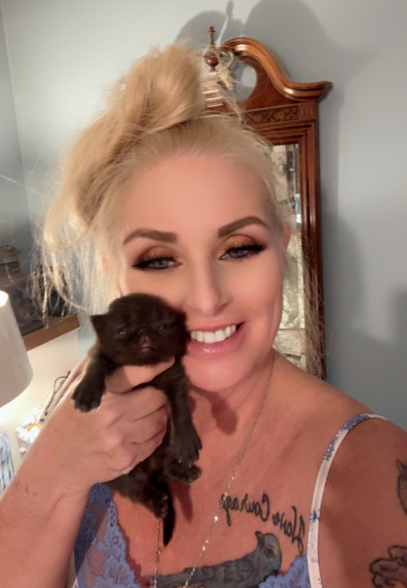 Kootenai Kats Club Vice President Marjorie LaMar is pictured with one of her new baby Persians. Persians will be among the breeds to admire next weekend during the Interntaional Cat Show.