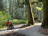 Ross Creek Cedars open to public