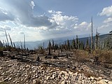 Rainfall aids in slowing North Idaho wildfires