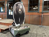 North Idaho Bear Fair to be hosted at Bonner County Fairgrounds on Sept. 27