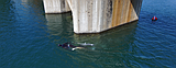 'Getting to yes' on spearfishing in Idaho
