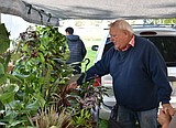 Houseplant guru offers advice at farmers market